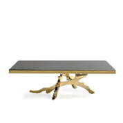 Albero Rectangular Titanium Gold Polished Stainless Steel Base Coffee Table