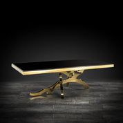 Albero Rectangular Titanium Gold Polished Stainless Steel Base Roberto Grassie Coffee Table