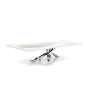 Albero Polished Stainless Steel Base White Art Large Coffee Table