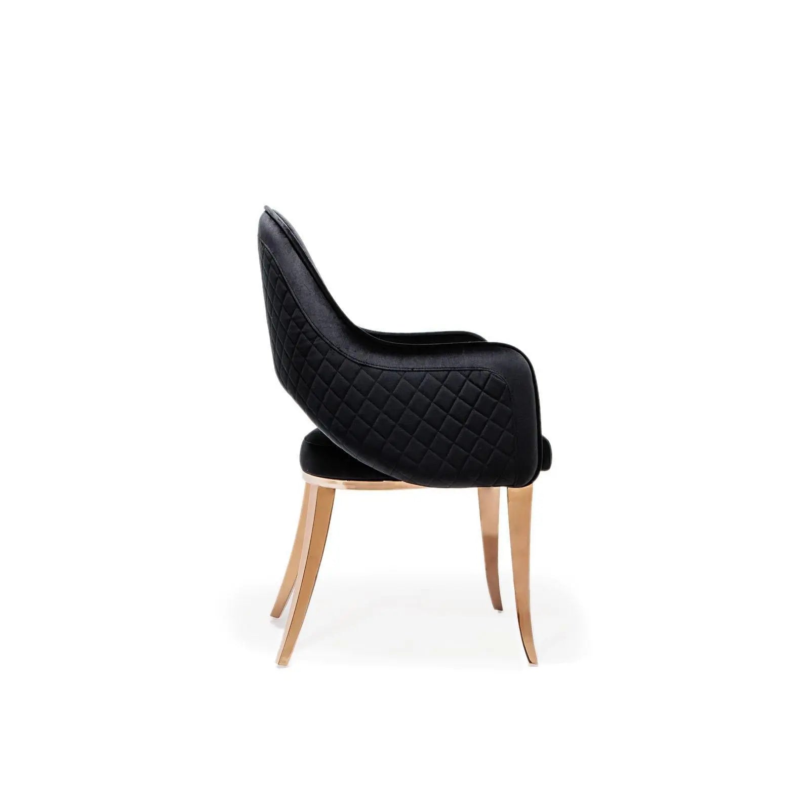 Alegra RG Black Stylish Dining Chair