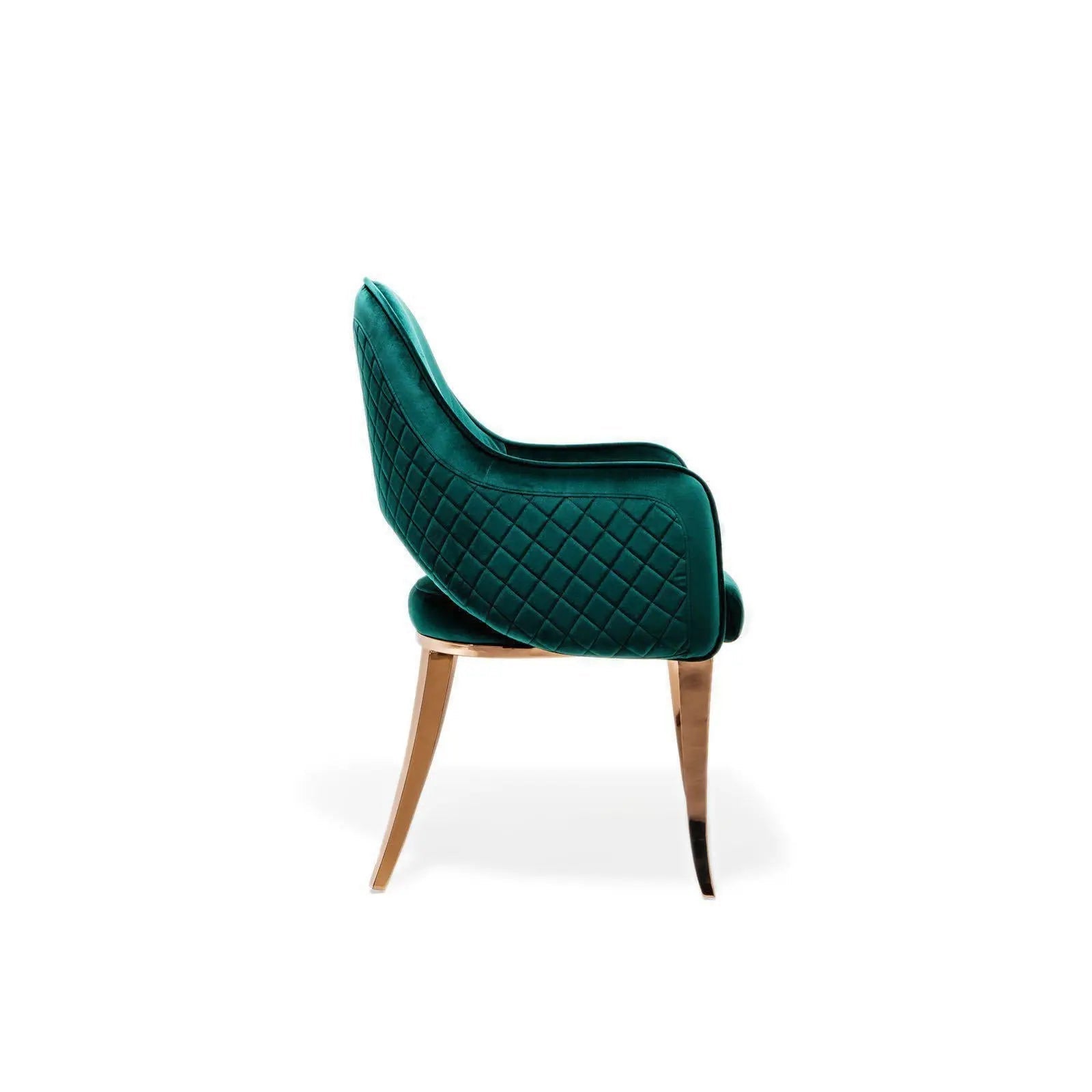 Alegra RG Green Stylish Dining Chair