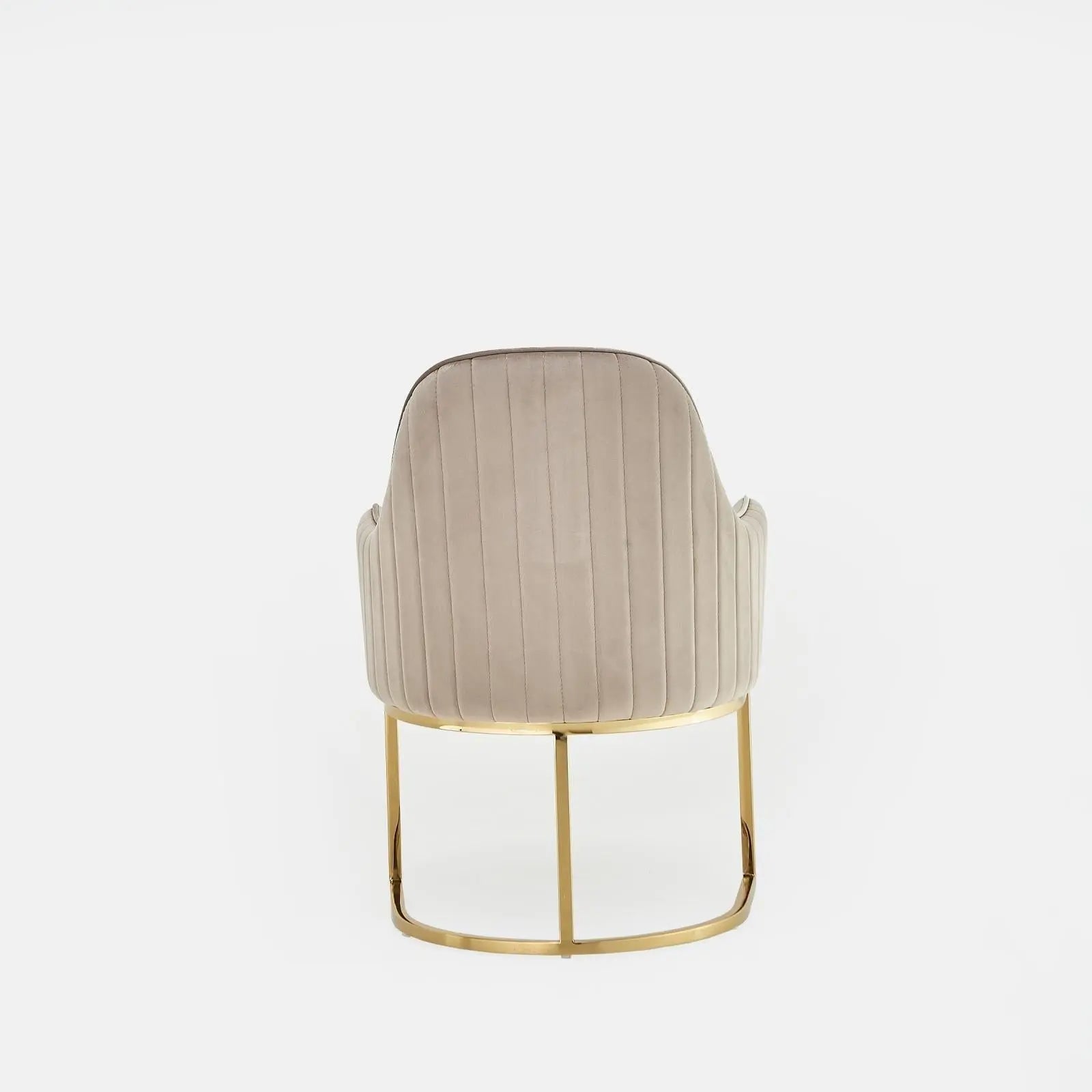 Andria Titanium Gold Polished Stainless Steel Base Taupe Modern Dining Chair RG