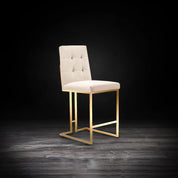 Cameron Titanium Gold Brushed Stainless Steel Base Beige Stylish Counter Stool RG
