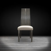 Capri Gray Modern Dining Chair