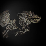 Dragon Fly Modern Wall Art