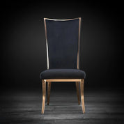 Massimo RG Black Modern Dining Chair