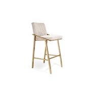 Nolan Titanium Gold Polished Stainless Steel Base Beige Stylish Counter Stool