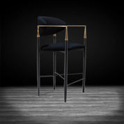 Roubi Brushed Chg Black Modern Counter Stool