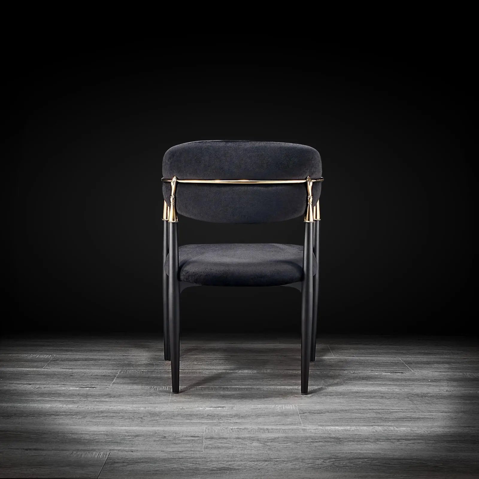 Roubi Cg Black Modern Dining Chair