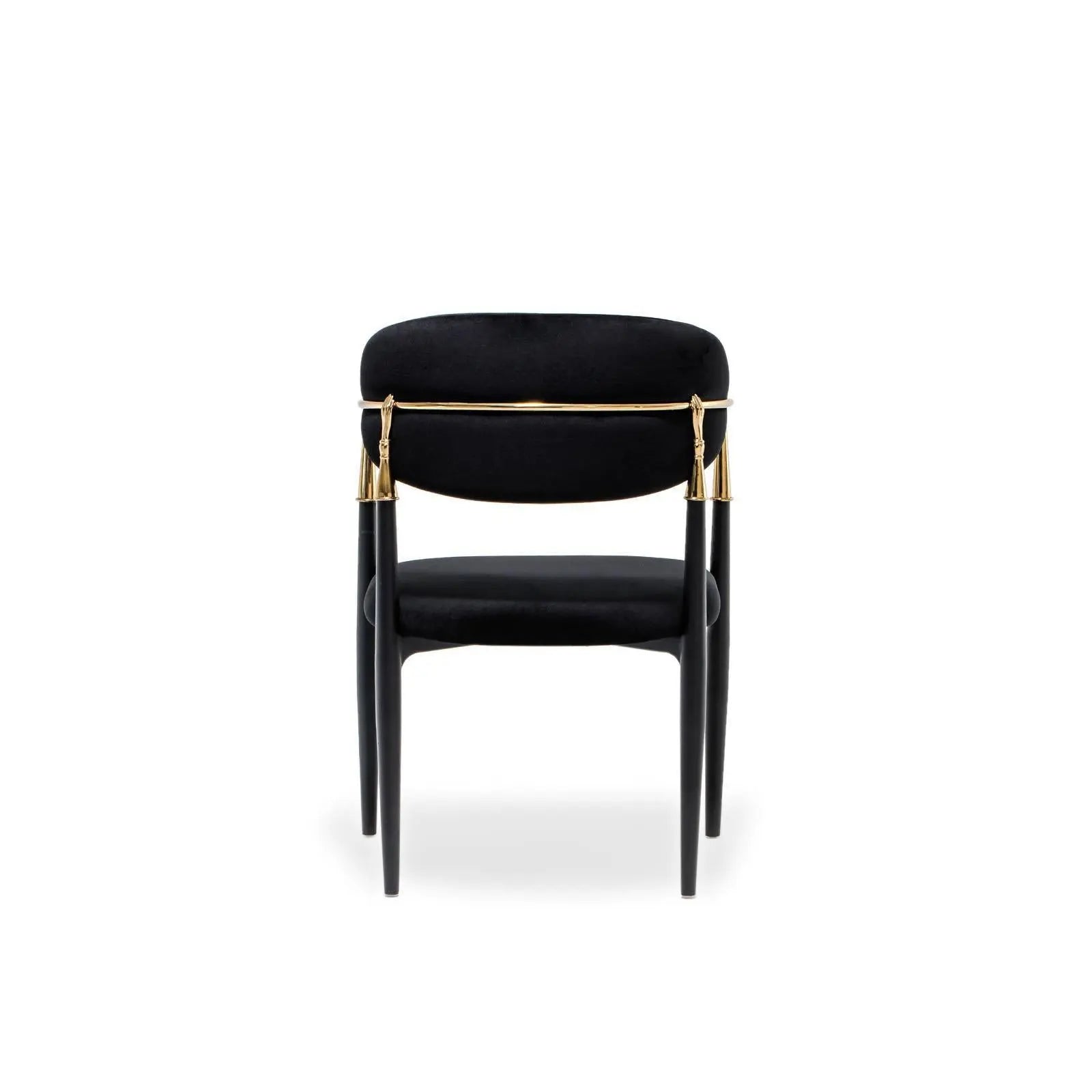 Roubi Cg Black Modern Dining Chair