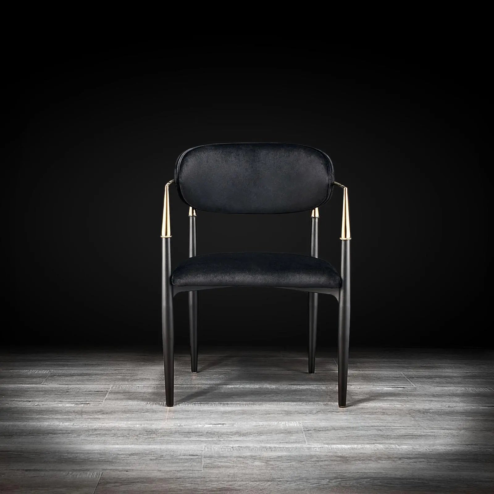 Roubi Cg Black Modern Dining Chair