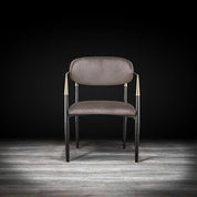 Roubi Chg Taupe Modern Dining Chair