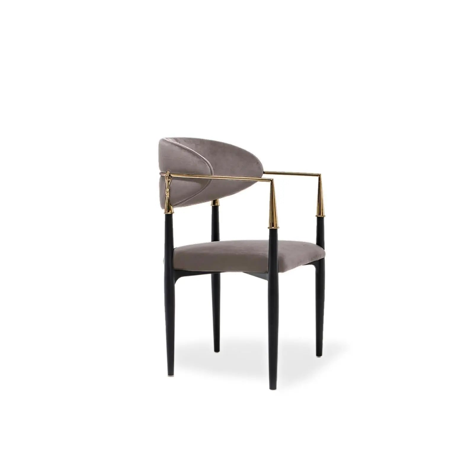 Roubi Chg Taupe Stylish Dining Chair