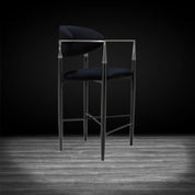 Roubi Polished Stainless Steel Base Black Modern Counter Stool