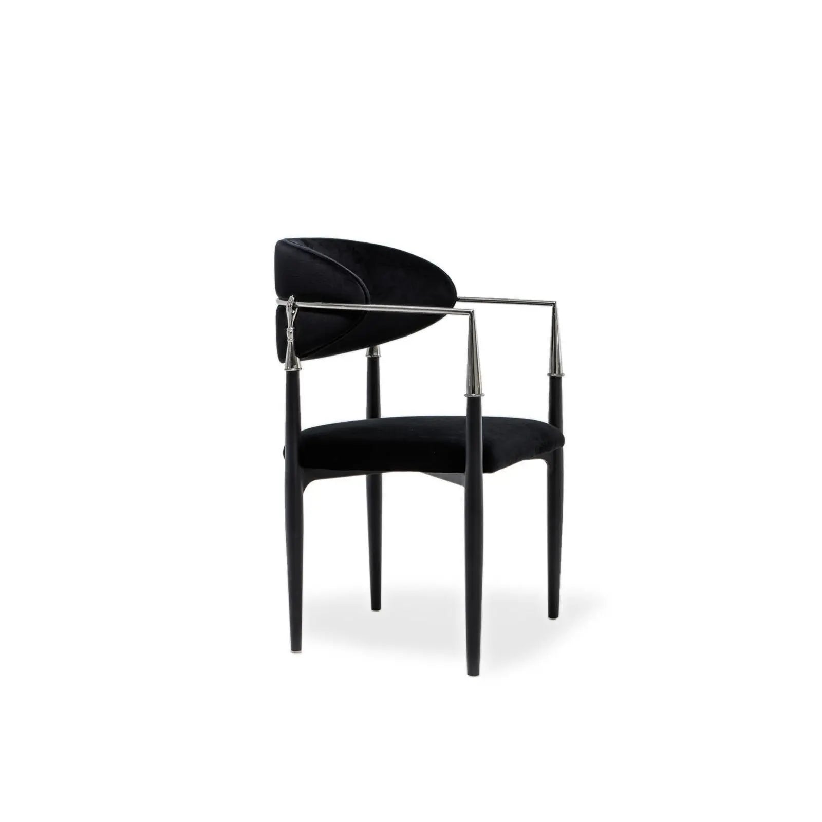 Roubi Polished Stainless Steel Base Black Stylish Dining Chair