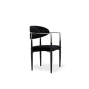 Roubi Polished Stainless Steel Base Black Stylish Dining Chair