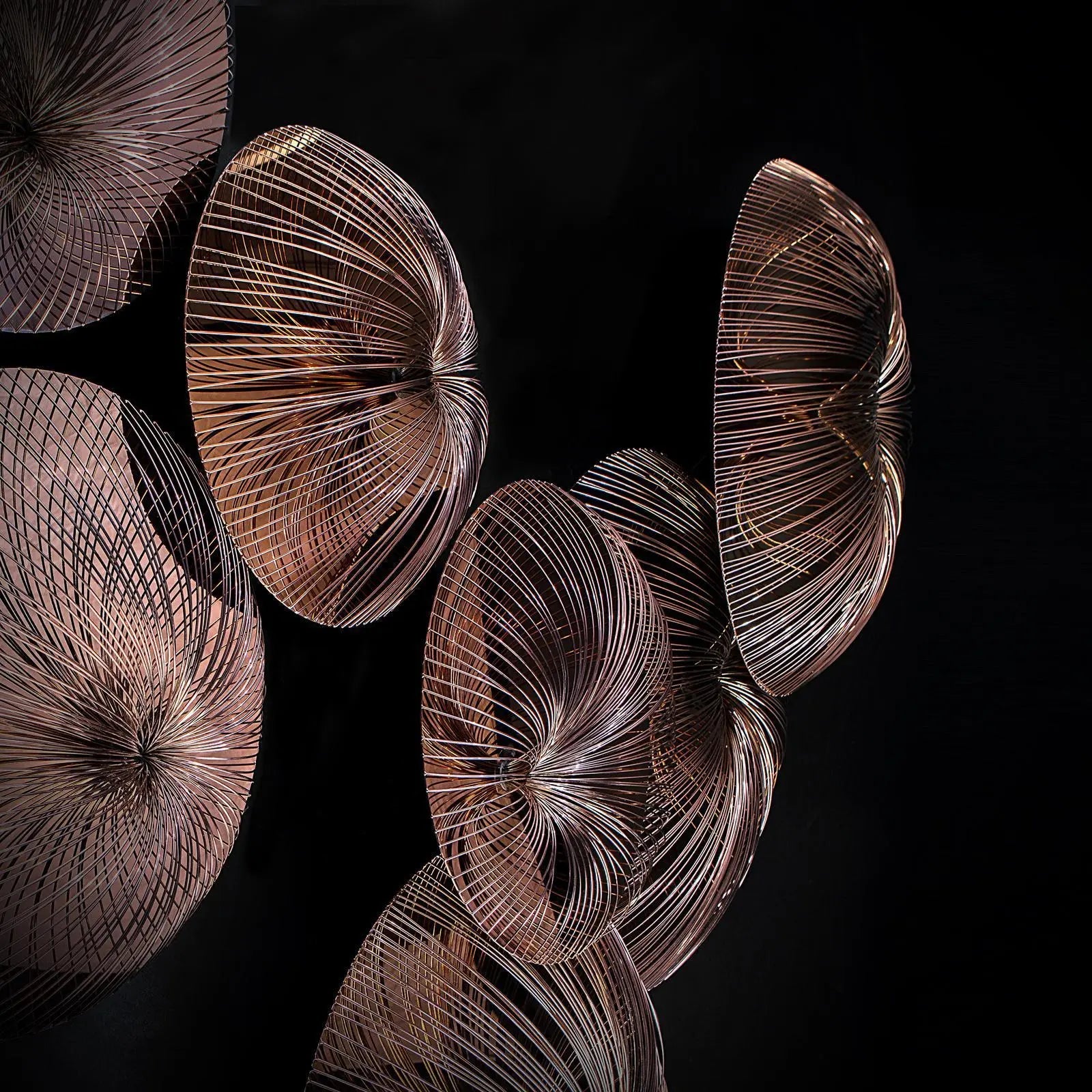 Water Flower Modern Wall Art