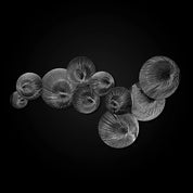 Water Flower Silver Modern Wall Art