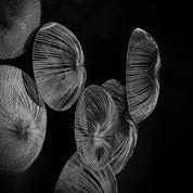 Water Flower Silver Stylish Wall Art