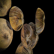 Water Flower Titanium Gold Polished Stainless Steel Base Stylish Wall Art