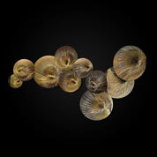 Water Flower Titanium Gold Polished Stainless Steel Base Wall Art