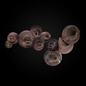 Water Flower Wall Art