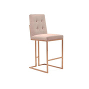 Cameron Rose Gold Polished Stainless Steel Base Taupe Stylish Bar Stool RG